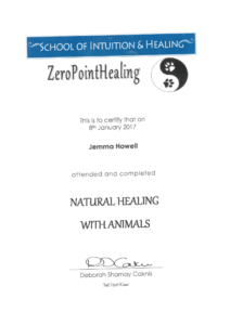 Animal Holistic Healing.pdf