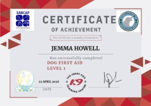 First Aid 2